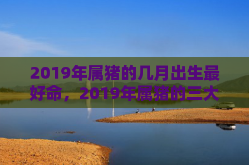 2019年属猪的几月出生最好命，2019年属猪的三大劫难