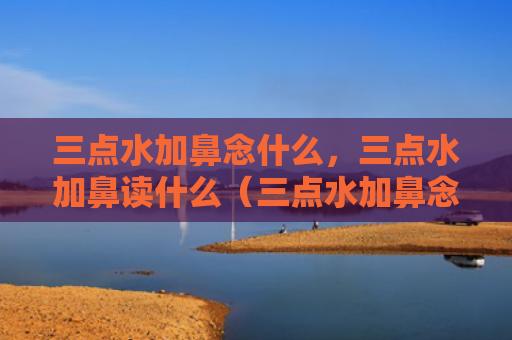 三点水加鼻念什么，三点水加鼻读什么（三点水加鼻念加鼻读）