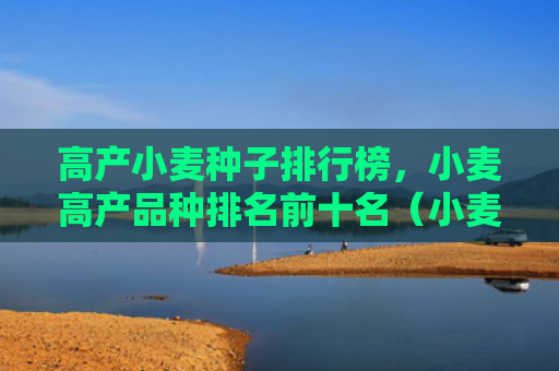 高产小麦种子排行榜，小麦高产品种排名前十名（小麦高产前十名）