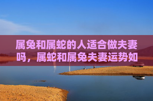 属兔和属蛇的人适合做夫妻吗，属蛇和属兔夫妻运势如何