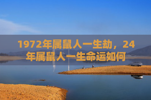 1972年属鼠人一生劫，24年属鼠人一生命运如何