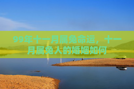 99年十一月属兔命运，十一月属兔人的婚姻如何