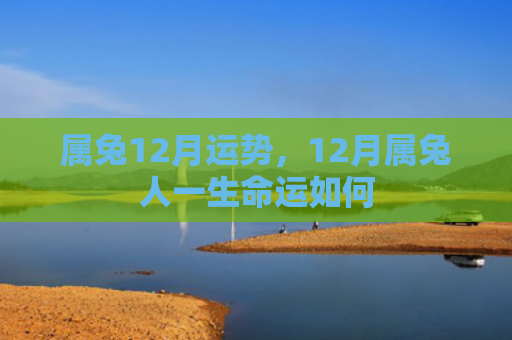 属兔12月运势，12月属兔人一生命运如何