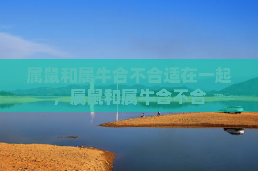 属鼠和属牛合不合适在一起，属鼠和属牛合不合
