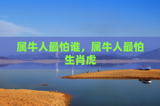 属牛人最怕谁，属牛人最怕生肖虎