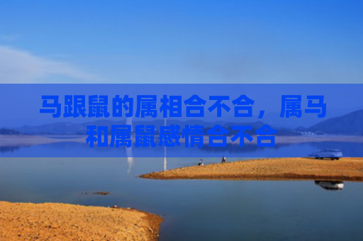 马跟鼠的属相合不合，属马和属鼠感情合不合