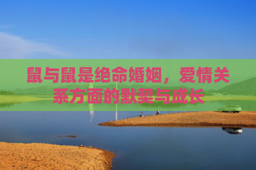 鼠与鼠是绝命婚姻，爱情关系方面的默契与成长