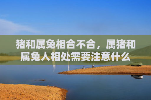 猪和属兔相合不合，属猪和属兔人相处需要注意什么