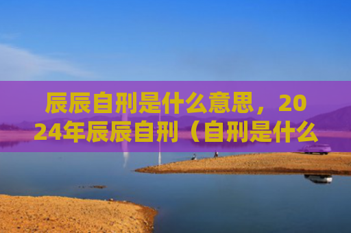 辰辰自刑是什么意思，2024年辰辰自刑（自刑是什么意思年辰辰）