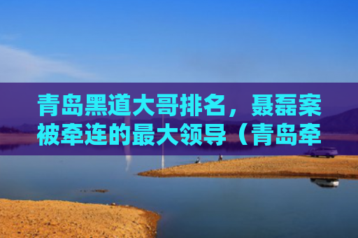 青岛黑道大哥排名，聂磊案被牵连的最大领导（青岛牵连黑道）
