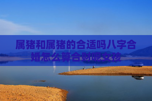 属猪和属猪的合适吗八字合婚怎么算合财呢女孩