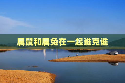 属鼠和属兔在一起谁克谁