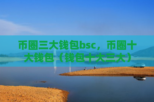 币圈三大钱包bsc，币圈十大钱包（钱包十大三大）