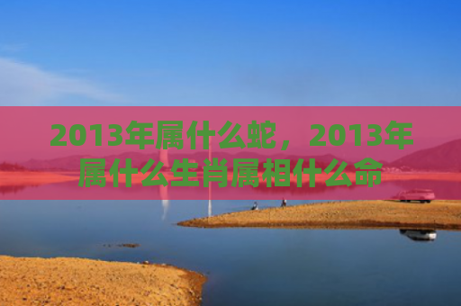 2013年属什么蛇，2013年属什么生肖属相什么命