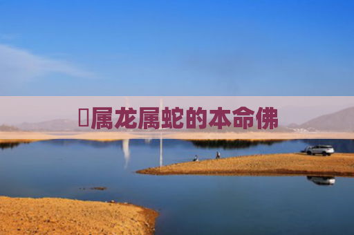 ​属龙属蛇的本命佛