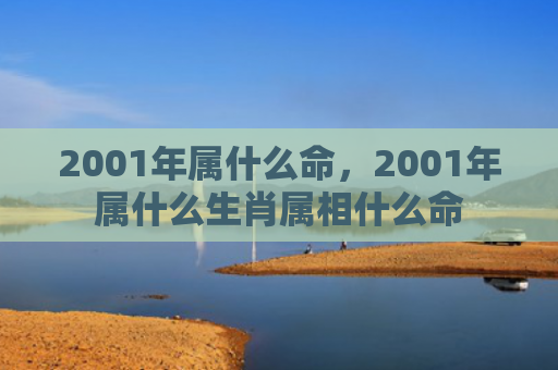 2001年属什么命，2001年属什么生肖属相什么命