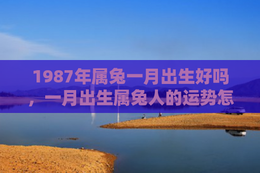 1987年属兔一月出生好吗，一月出生属兔人的运势怎么样