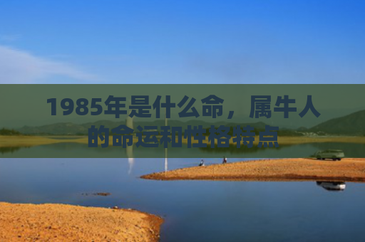 1985年是什么命，属牛人的命运和性格特点