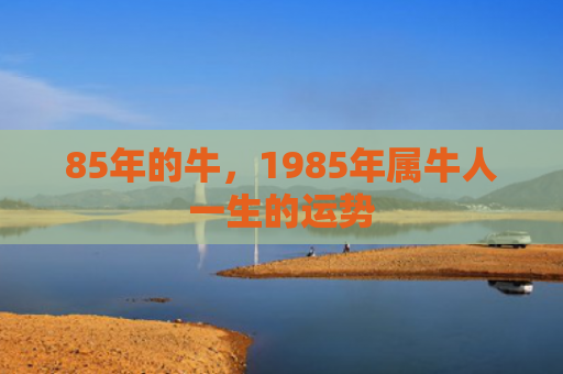 85年的牛，1985年属牛人一生的运势