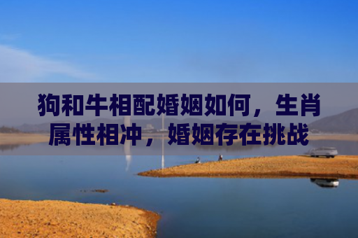 狗和牛相配婚姻如何，生肖属性相冲，婚姻存在挑战