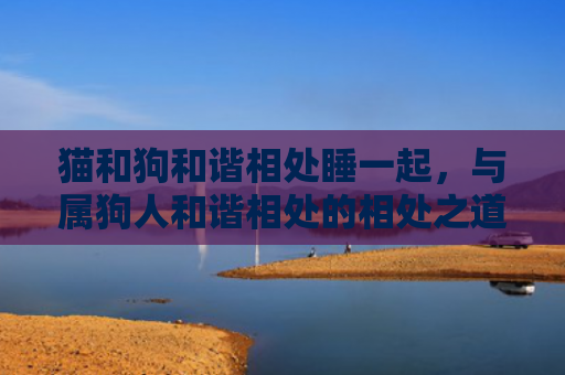 猫和狗和谐相处睡一起，与属狗人和谐相处的相处之道是什么