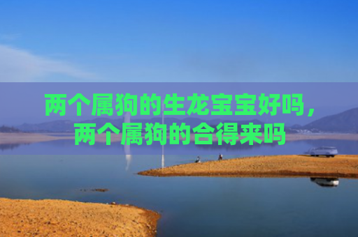两个属狗的生龙宝宝好吗，两个属狗的合得来吗
