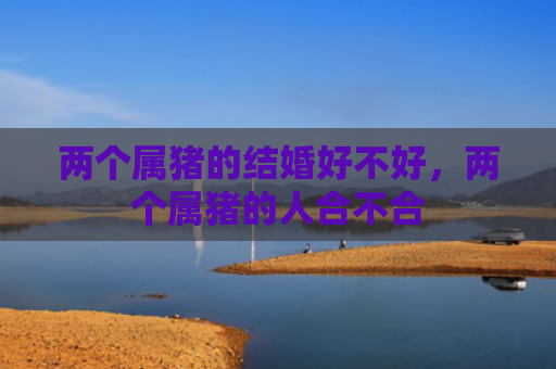 两个属猪的结婚好不好，两个属猪的人合不合