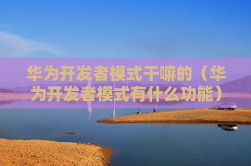 华为开发者模式干嘛的（华为开发者模式有什么功能）（华为开发者有什么）