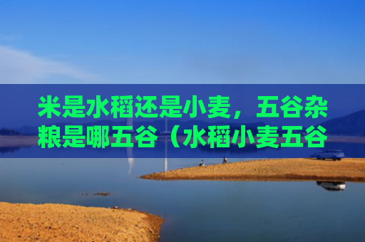 米是水稻还是小麦，五谷杂粮是哪五谷（水稻小麦五谷杂粮）