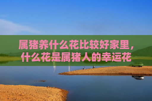 属猪养什么花比较好家里，什么花是属猪人的幸运花