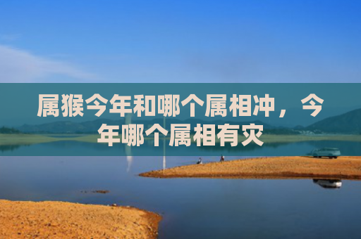 属猴今年和哪个属相冲，今年哪个属相有灾