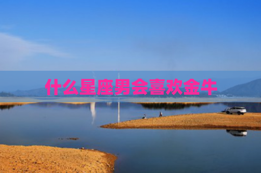 什么星座男会喜欢金牛