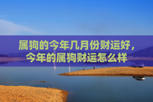 属狗的今年几月份财运好，今年的属狗财运怎么样