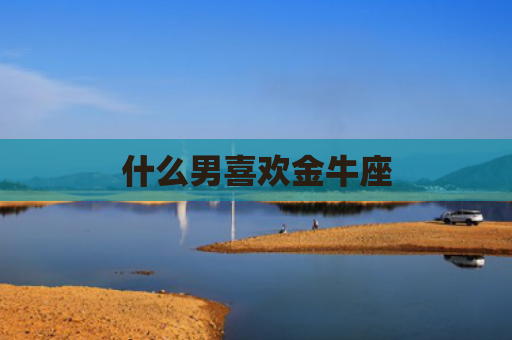 什么男喜欢金牛座
