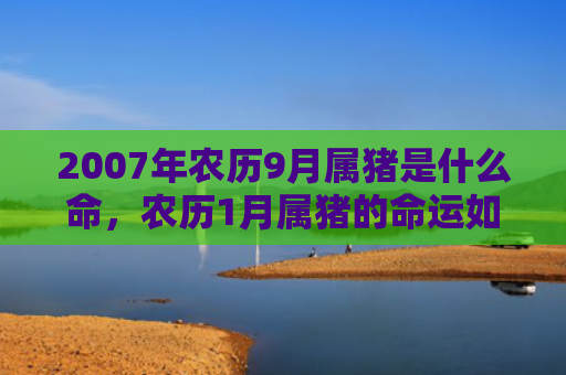 2007年农历9月属猪是什么命，农历1月属猪的命运如何