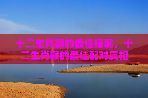 十二生肖猴的最佳搭配，十二生肖猴的最佳配对属相