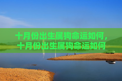 十月份出生属狗命运如何，十月份出生属狗命运如何