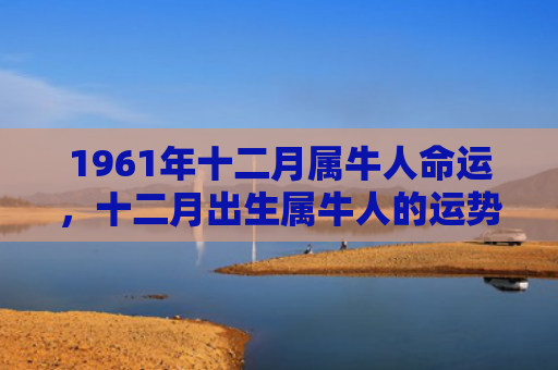 1961年十二月属牛人命运，十二月出生属牛人的运势如何