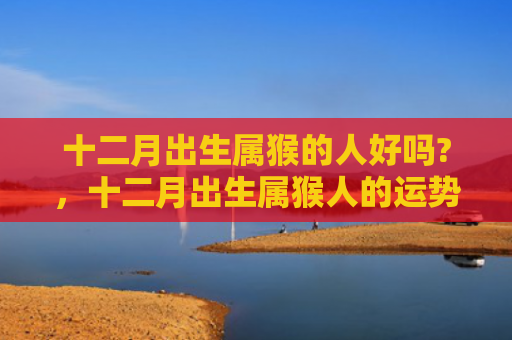 十二月出生属猴的人好吗?，十二月出生属猴人的运势怎么样