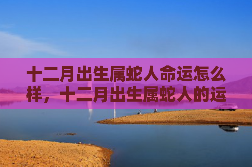 十二月出生属蛇人命运怎么样，十二月出生属蛇人的运势好吗