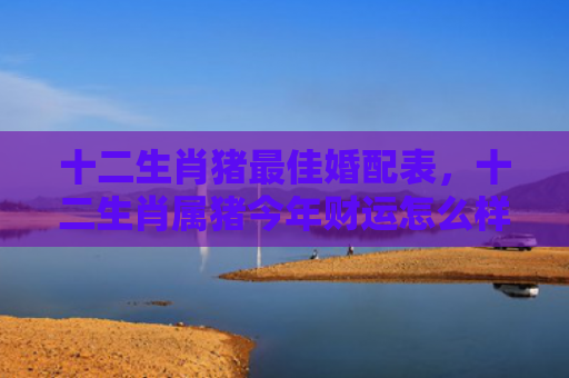 十二生肖猪最佳婚配表，十二生肖属猪今年财运怎么样