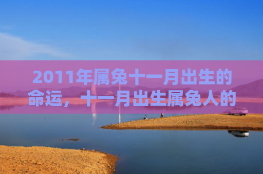 2011年属兔十一月出生的命运，十一月出生属兔人的运势怎么样