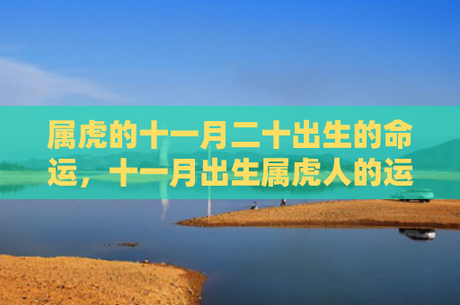 属虎的十一月二十出生的命运，十一月出生属虎人的运势怎么样