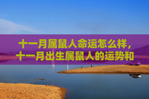 十一月属鼠人命运怎么样，十一月出生属鼠人的运势和财运