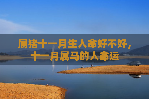 属猪十一月生人命好不好，十一月属马的人命运