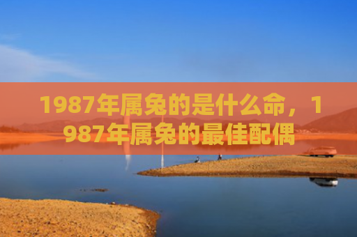 1987年属兔的是什么命，1987年属兔的最佳配偶