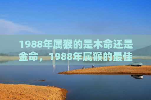 1988年属猴的是木命还是金命，1988年属猴的最佳配偶