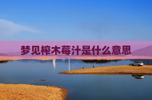 梦见榨木莓汁是什么意思