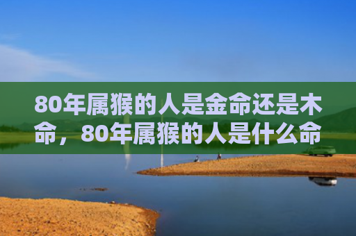 80年属猴的人是金命还是木命，80年属猴的人是什么命