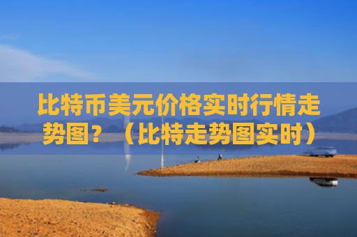 比特币美元价格实时行情走势图？（比特走势图实时）